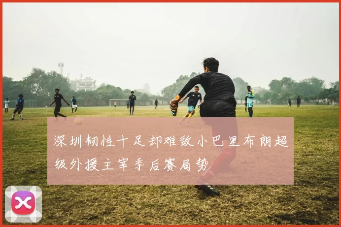 深圳韧性十足却难敌小巴里布朗超级外援主宰季后赛局势